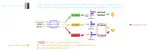 M^3Check: A Demonstration System for Multilingual Multi-clue Multi-Hop Fact-Checking