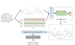 Linguistics Informed Natural Language Processing with Graph Networks