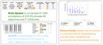 The ELCo Dataset: Bridging Emoji and Lexical Composition